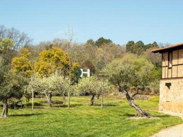 Oficina en venta en Mejostilla, Cáceres