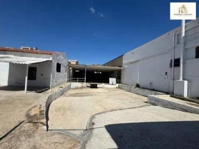 Oficina en venta en La Cruz, Novelda