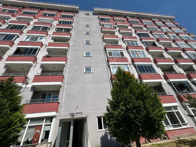 Edirne Merkez, Edirne içerisinde kiralık mülk