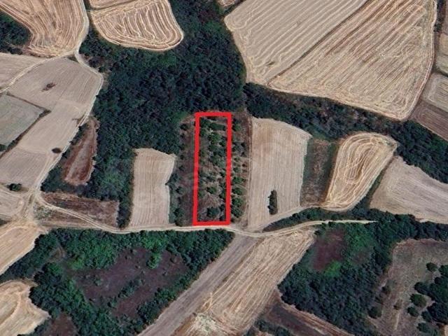 Havsa, Edirne içerisinde satılık Arsa