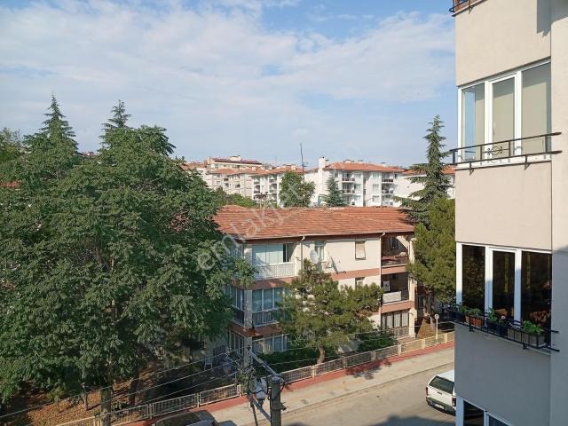 Edirne Merkez, Edirne içerisinde kiralık mülk
