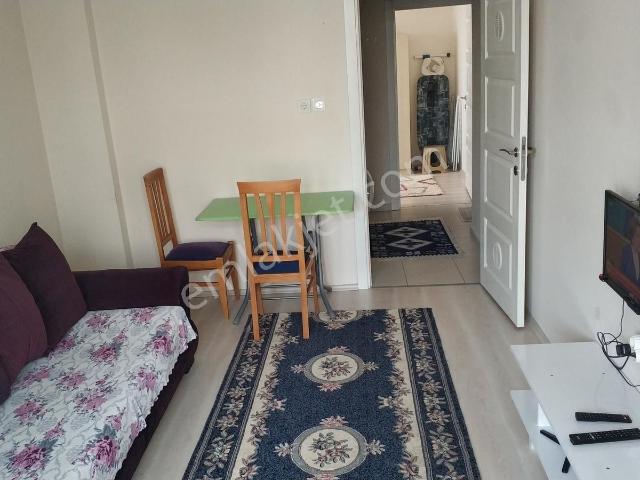 Edirne Merkez, Edirne içerisinde kiralık mülk