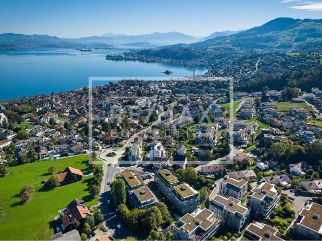 Wohnung kaufen in Frohberg, Richterswil