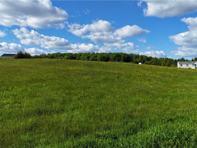 Land for sale in Freedom, New York