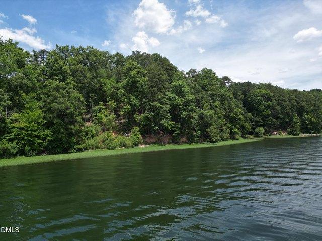 Land for sale in Littleton, North Carolina