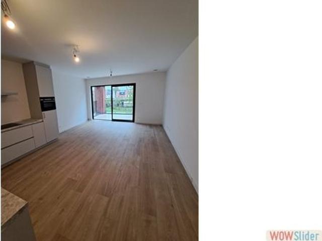 Appartement location à Brecht, Antwerpen