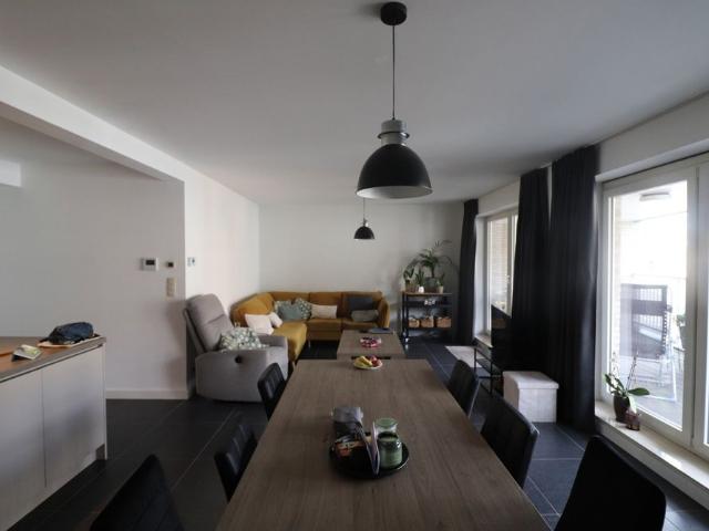 Appartement location à Merksplas, Antwerpen