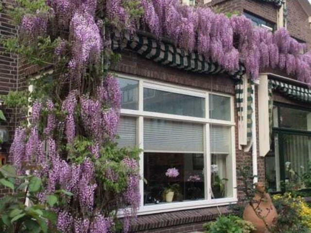 Woning te huur in Voorburg, Zuid Holland