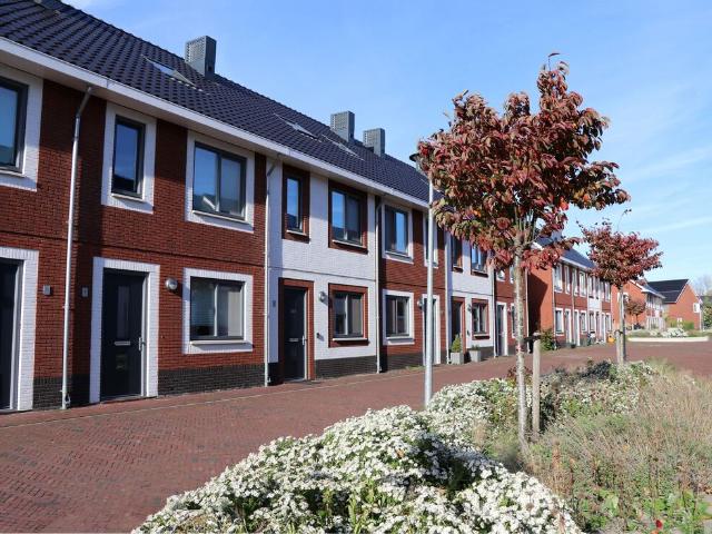 Eengezinswoning te huur in Schiedam Eengezinswoning te huur in Schiedam