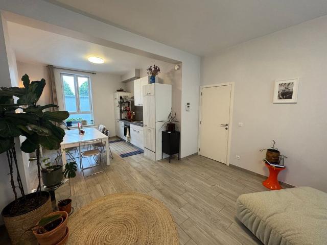 Appartement location à Halle, Brabant