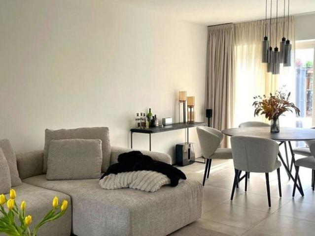 Maison location à Meerhout, Antwerpen
