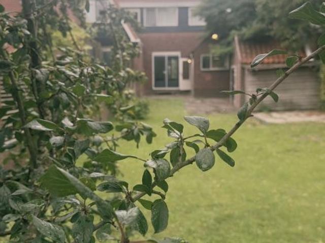 Eengezinswoning te huur in Rhoon