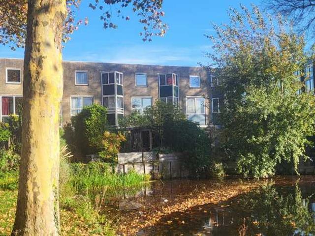 Eengezinswoning te huur in Zuid Holland