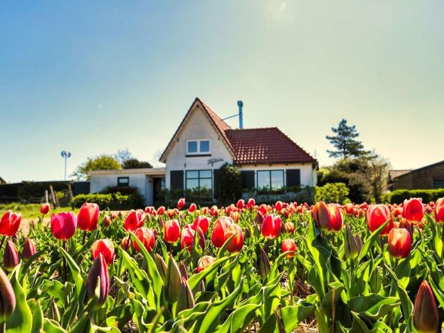 Woning te huur in Bergen, Noord Holland