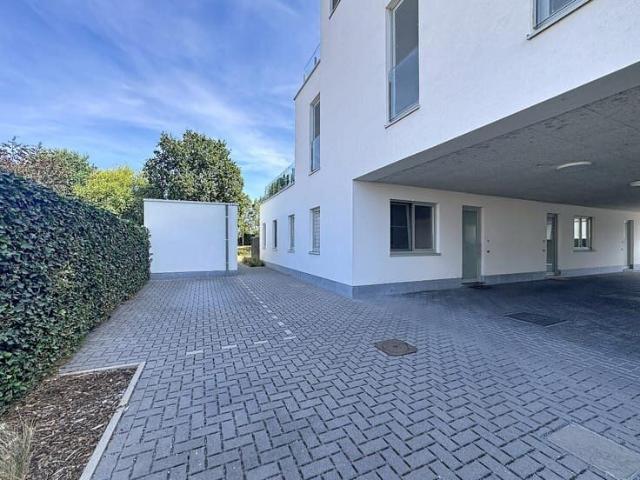 Kot location à Deinze, Oost-Vlaanderen