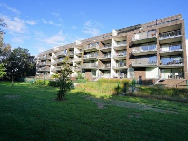 Kot location à Desteldonk, Oost-Vlaanderen
