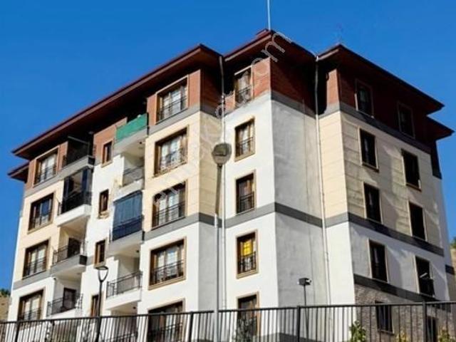 Amasya Merkez, Amasya içerisinde kiralık mülk