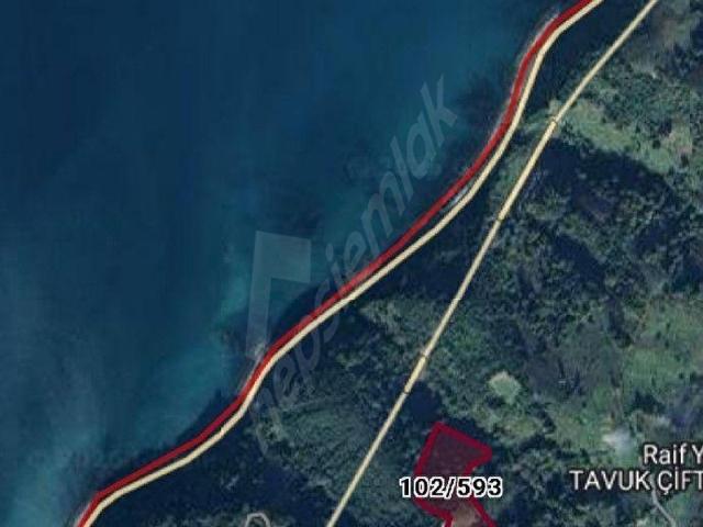 Alapli, Zonguldak içerisinde satılık Arsa