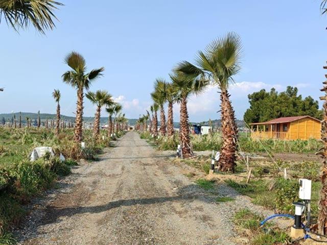 Menderes, İzmir içerisinde satılık Arsa