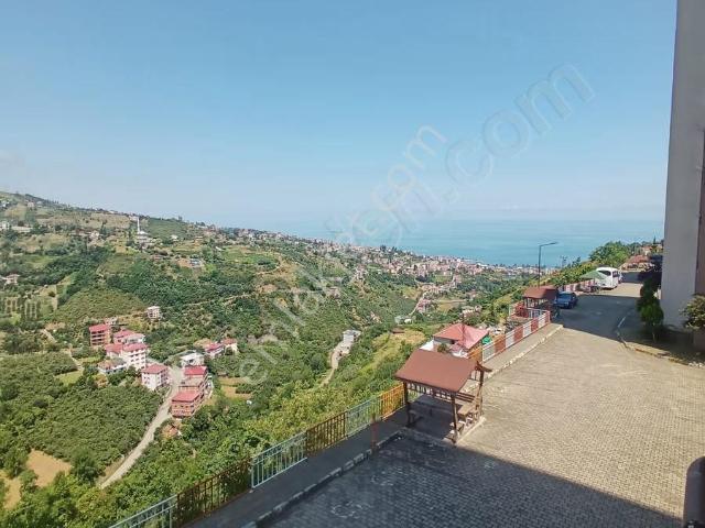 Akçaabat, Trabzon içerisinde kiralık mülk