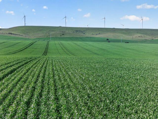 Property for sale in Wokurna, South Australia