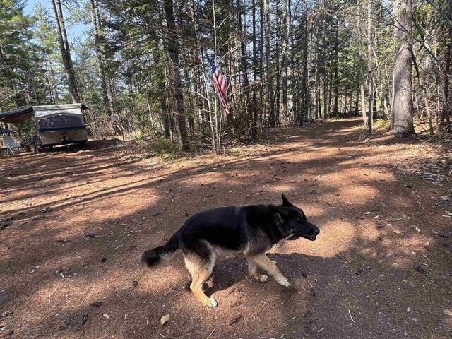Land for sale in New Hampshire