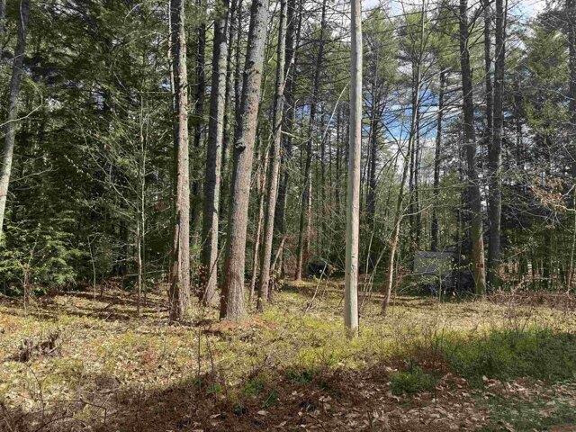 Land for sale in New Hampshire