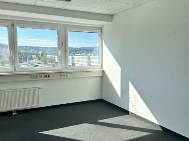 Gewerbe mieten in Wiener Neudorf, Niederösterreich