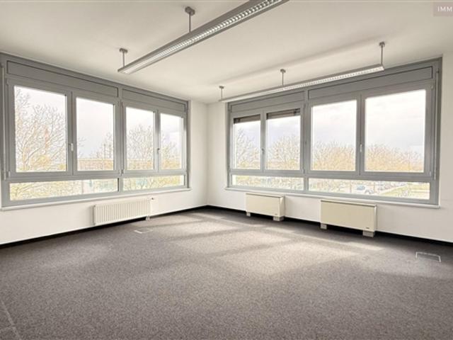 Gewerbe mieten in Groß-Schwechat, Schwechat