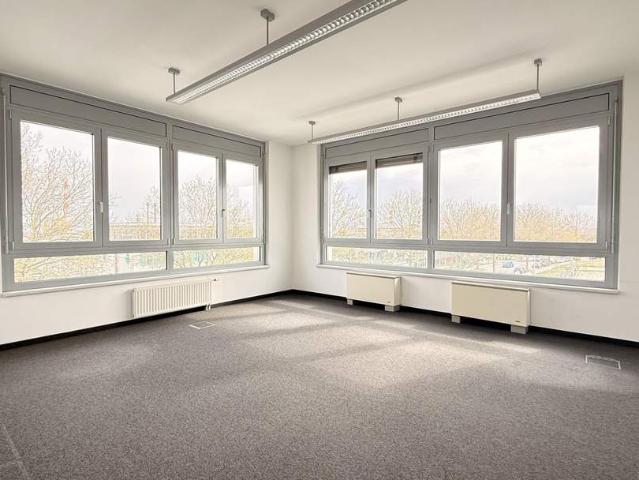 Gewerbe mieten in Bruck an der Leitha, Niederösterreich