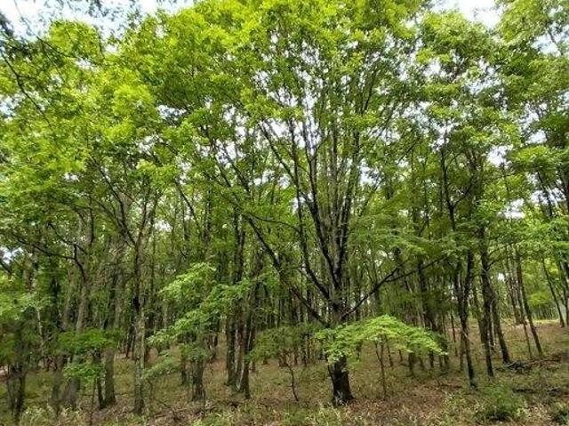 Land for sale in Effort, Pennsylvania
