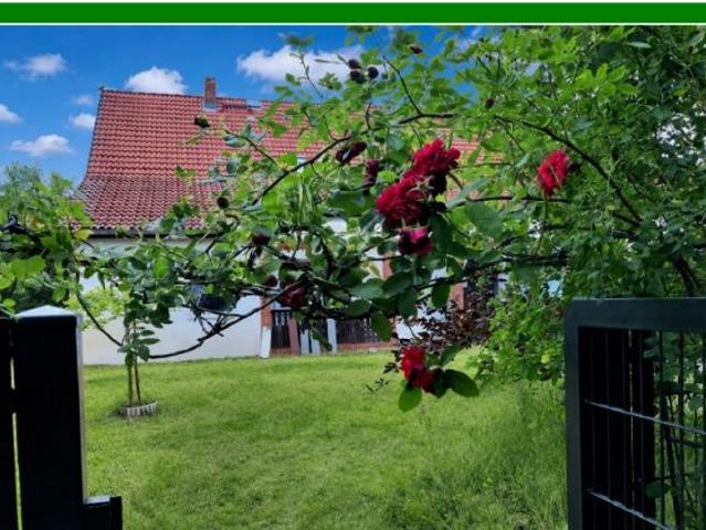 Haus kaufen in Schönewalde, Brandenburg