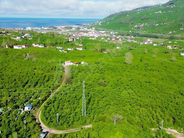 Ordu içerisinde satılık mülk