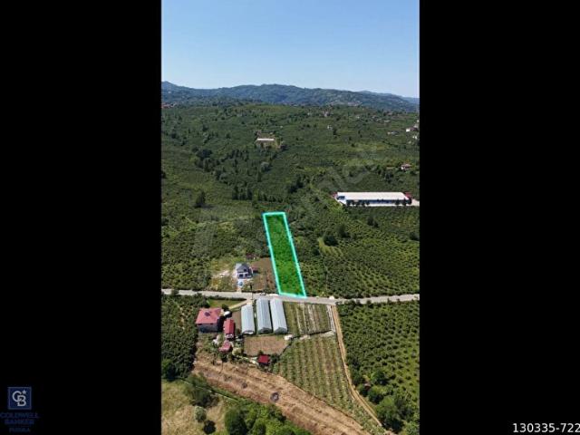 Ordu içerisinde satılık mülk