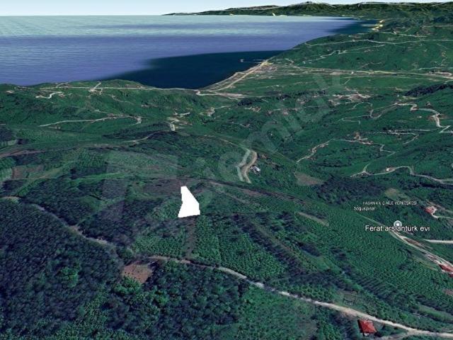 Ordu içerisinde satılık mülk