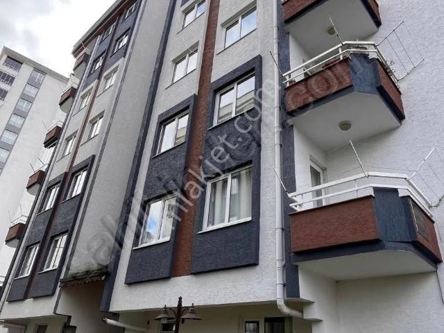 Ordu içerisinde kiralık mülk