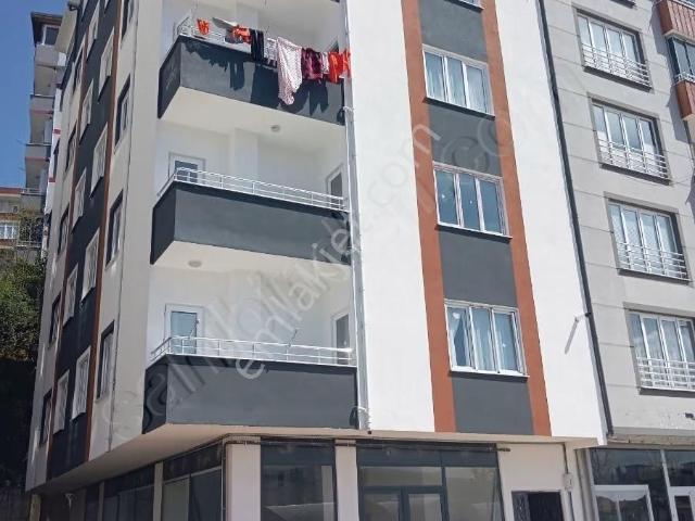 Ordu içerisinde kiralık mülk