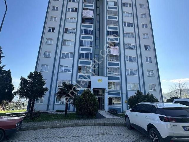 Ordu içerisinde kiralık mülk