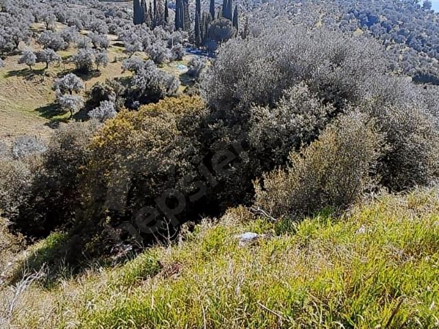 Abdurrahmanlar, Germencik içerisinde satılık mülk