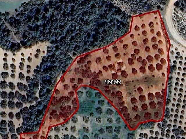 Karabörklü, Akhisar içerisinde satılık Arsa