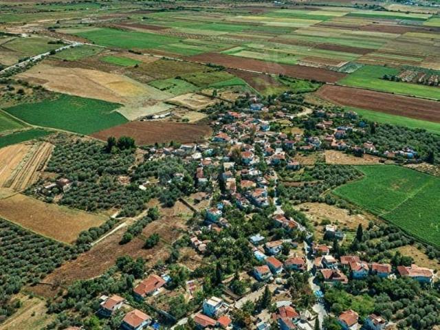 Foça, İzmir içerisinde satılık Arsa