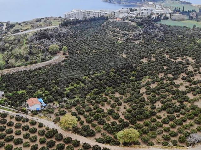 İzmir, Konak içerisinde satılık Arsa