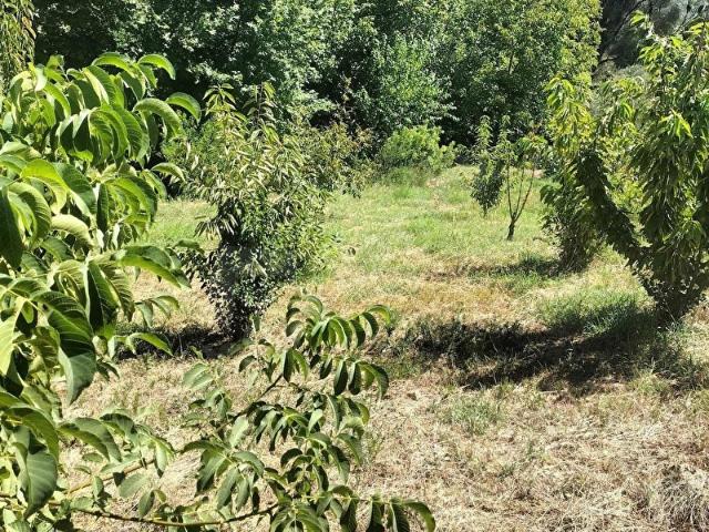 Bayindir, İzmir içerisinde satılık mülk