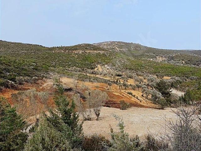 Urla, İzmir içerisinde satılık mülk
