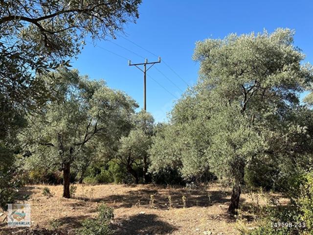 Milas, Muğla içerisinde satılık Arsa