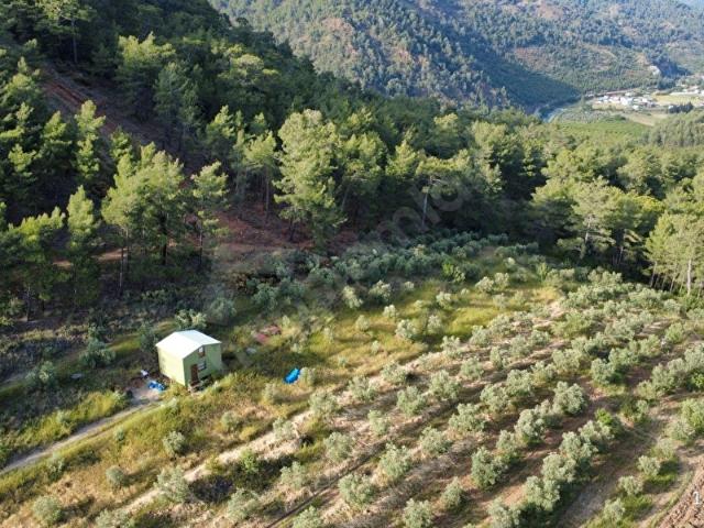Dalaman, Muğla içerisinde satılık Arsa