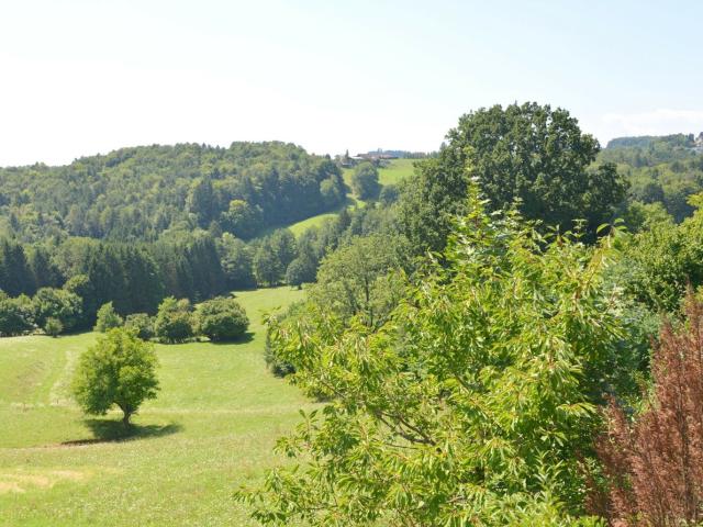 Etagenwohnung mieten in Edelsbach bei Feldbach
