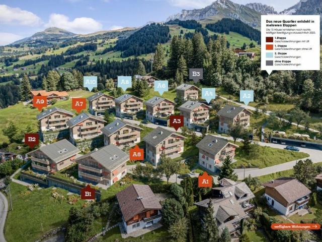Wohnung kaufen in Adelboden, Bern