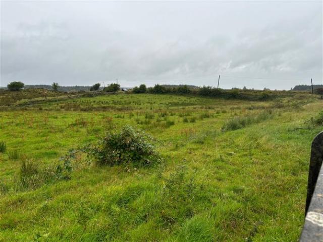 Farm for sale in Kilmovee