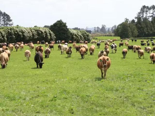 House for rent in Taranaki